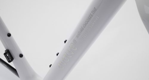 CIMA Special Edition – Billow (Road Frameset detail)2 CIMA Special Edition – Billow (Road Frameset detail)2