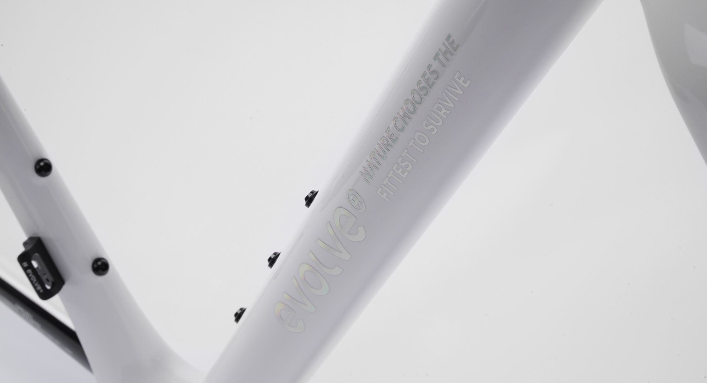 CIMA Special Edition – Billow (Road Frameset detail)2