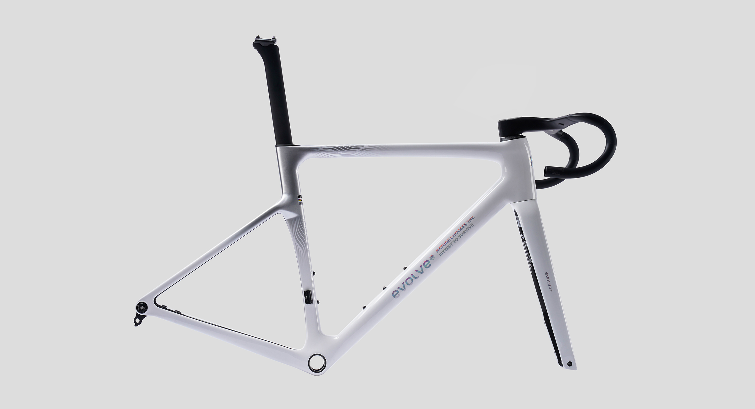 CIMA Special Edition – Billow2-1