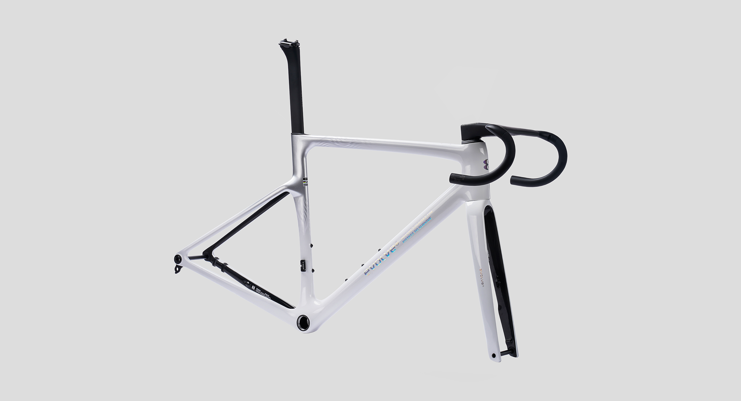 CIMA Special Edition – Billow2-2