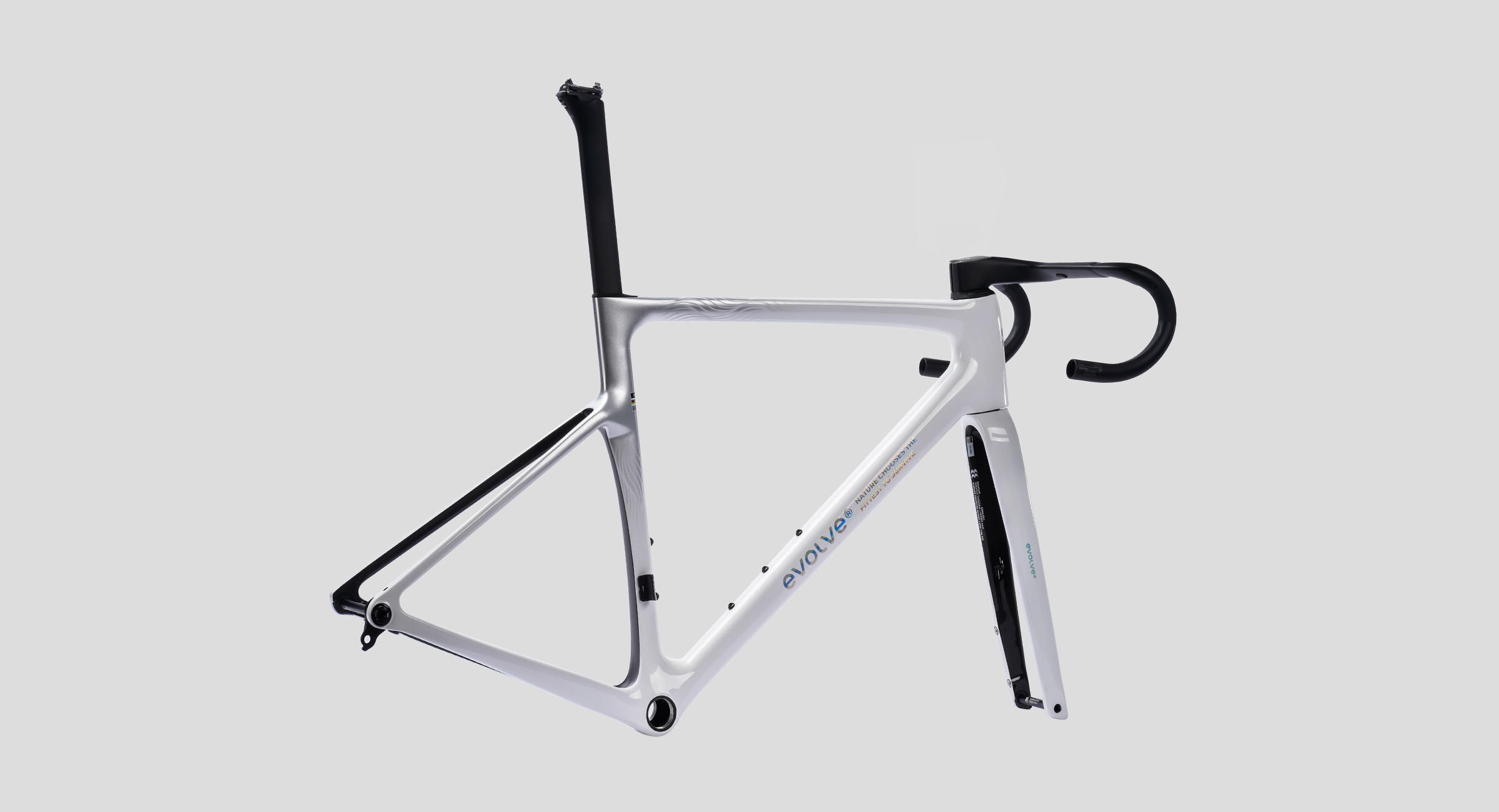 CIMA Special Edition – Billow2-3