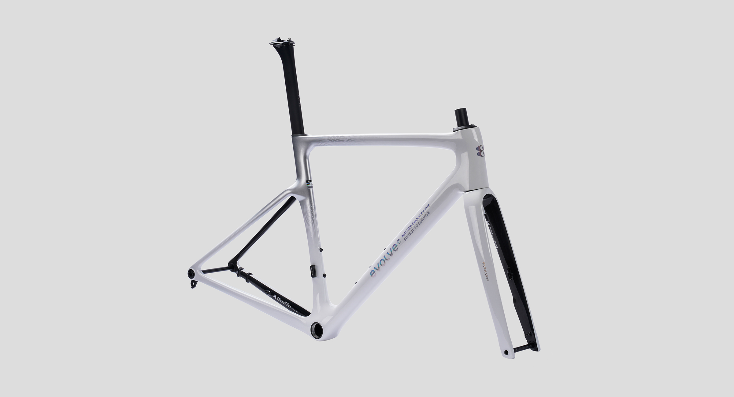 CIMA Special Edition – Billow（Road Frameset）2