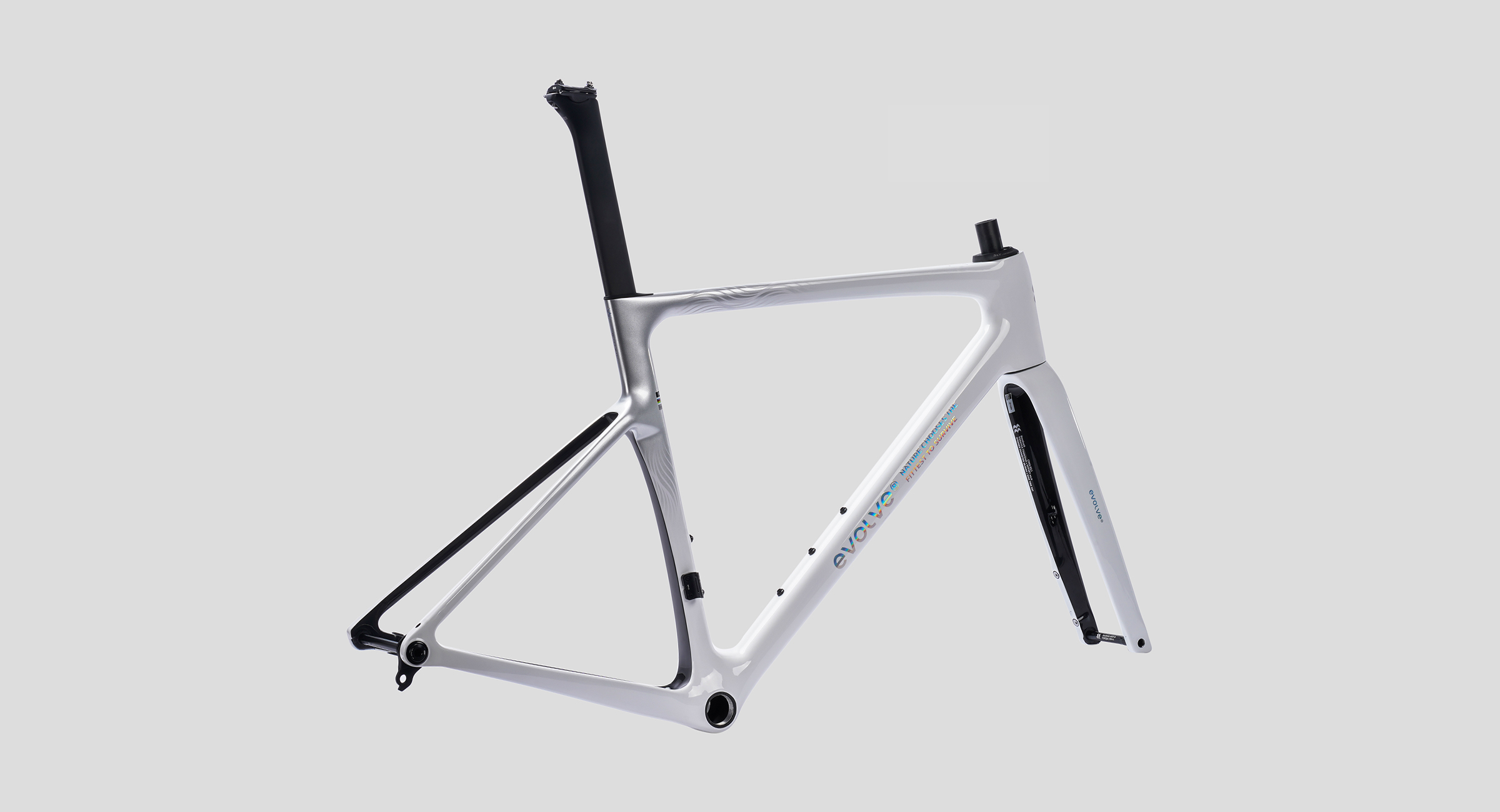 CIMA Special Edition – Billow（Road Frameset）