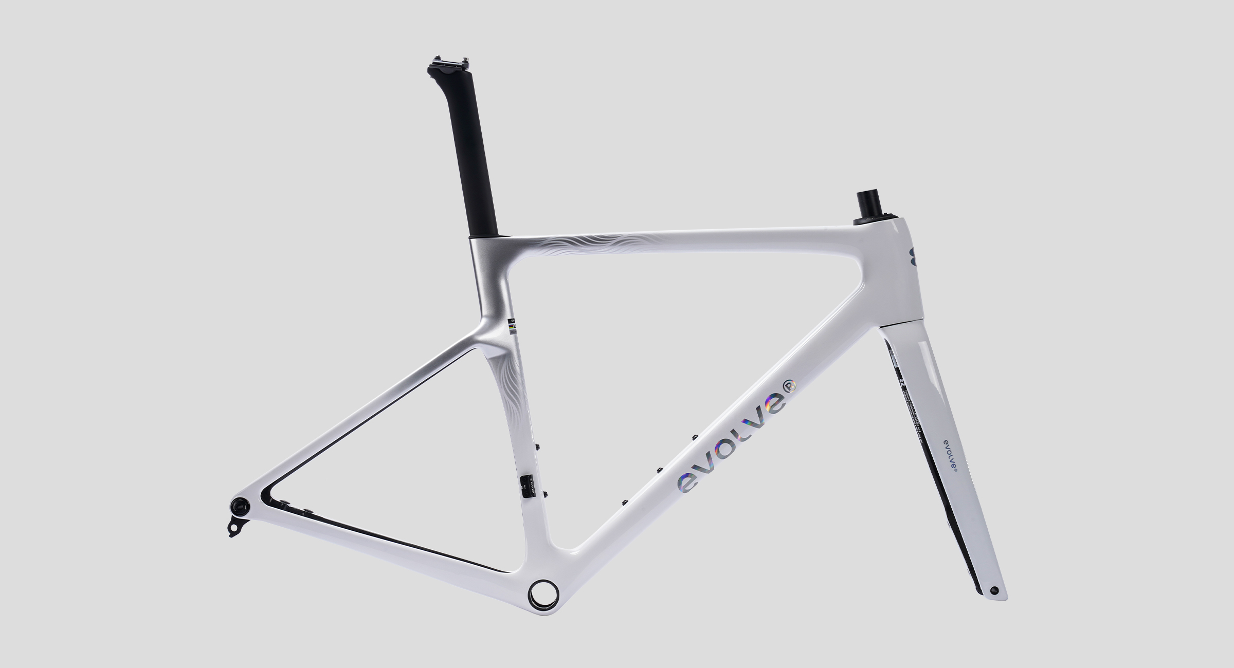 evolve-CIMA-Billow Bold-1