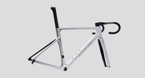 evolve-CIMA-Billow Bold-6 evolve-CIMA-Billow Bold-6