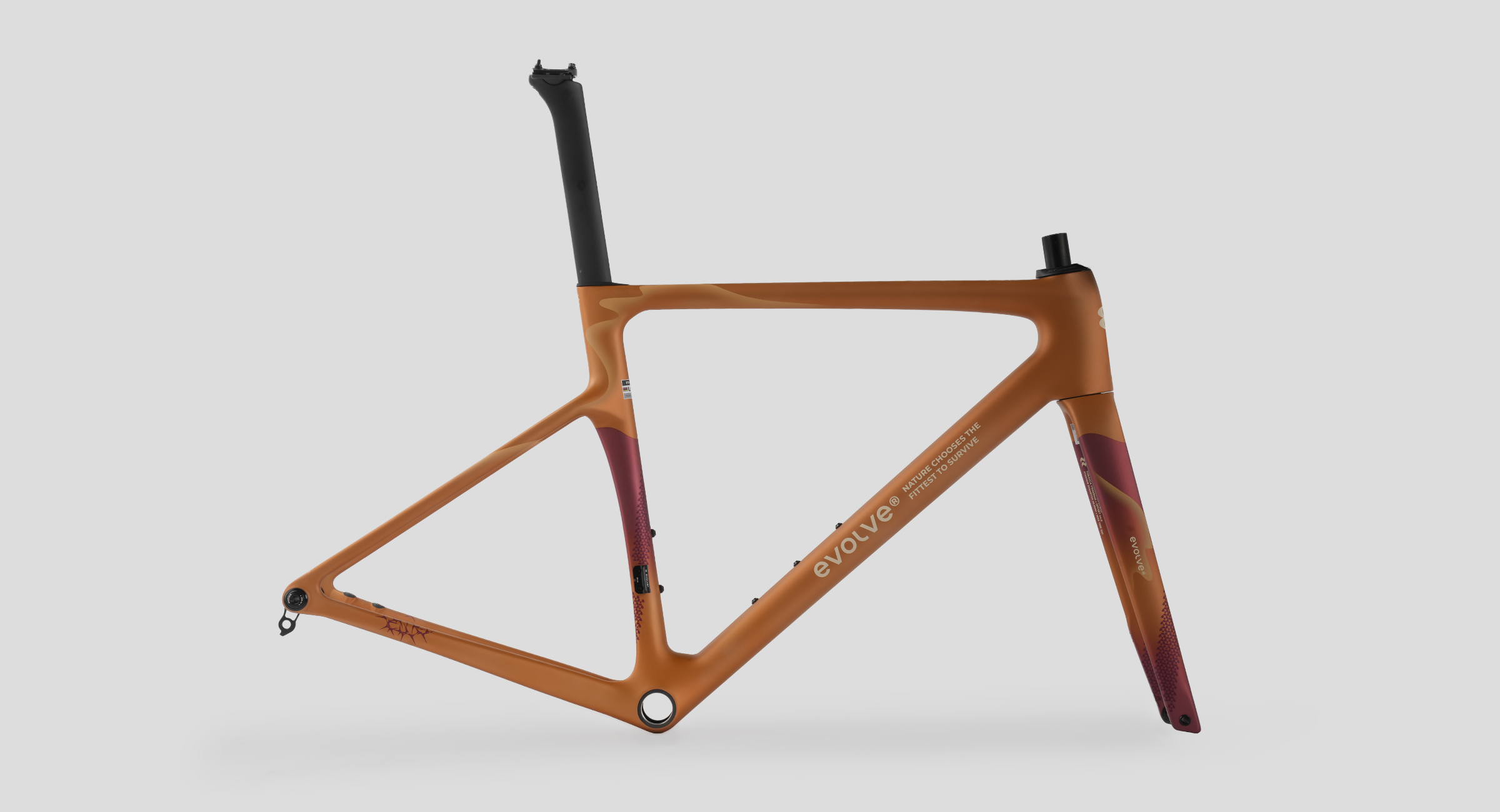 CIMA Artist – Wilderness