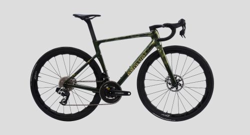 evolve-CIMA-Emerge Bold-7 evolve-CIMA-Emerge Bold-7