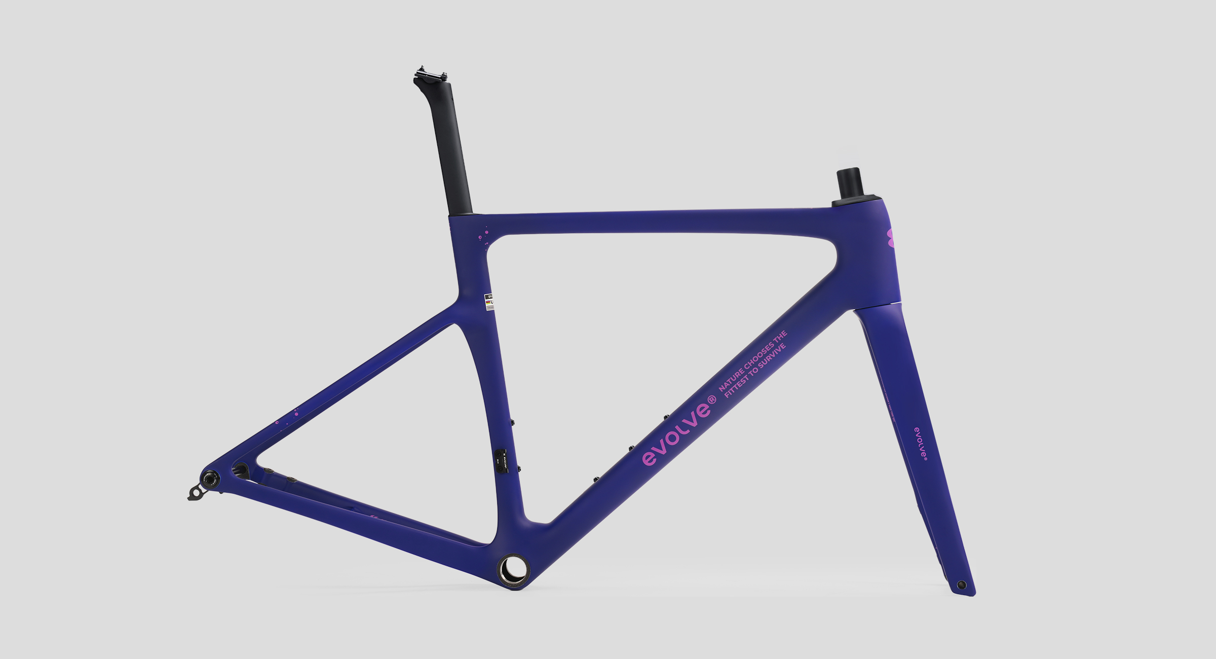 CIMA Speed – Adrift