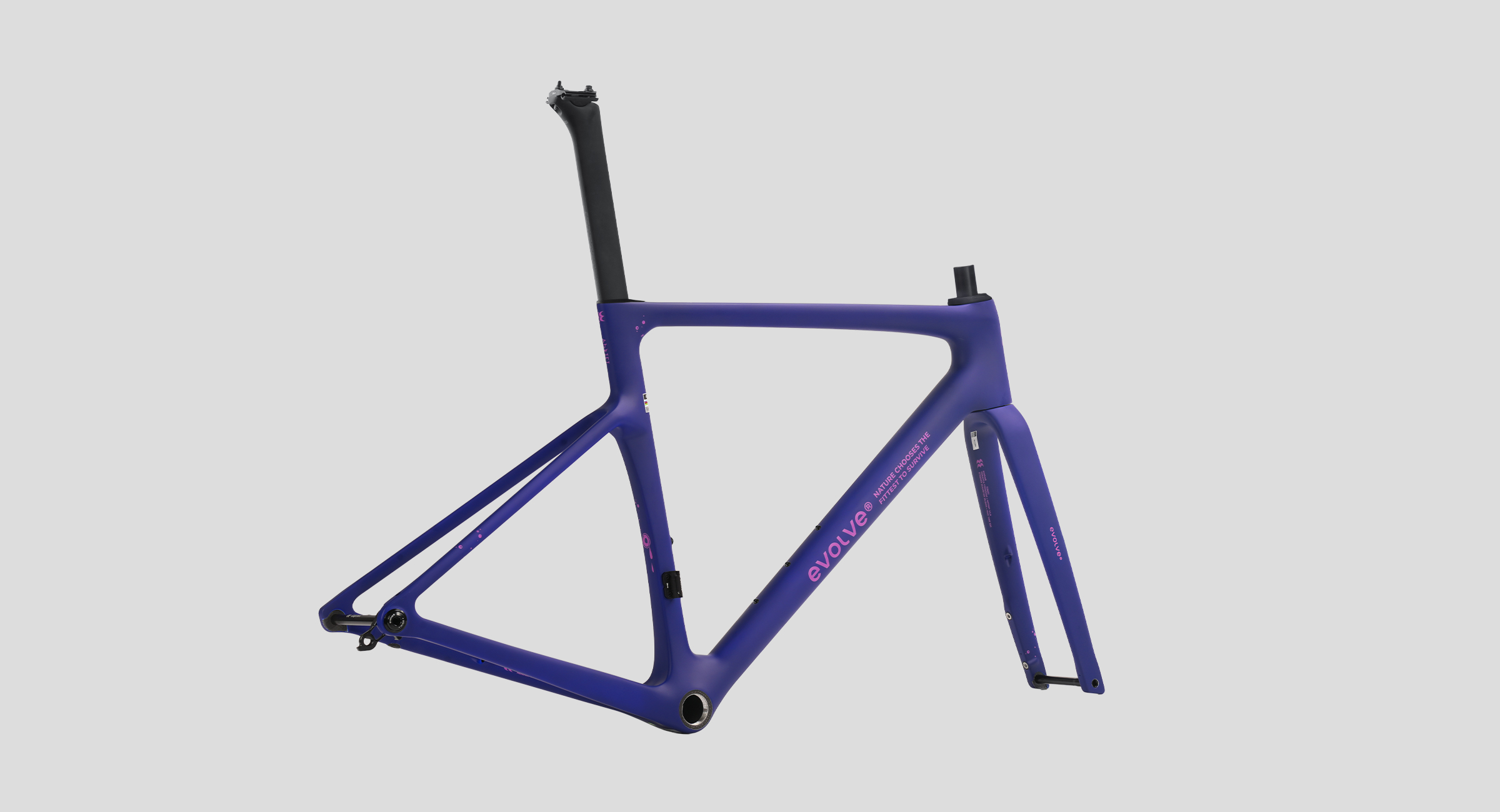 CIMA Speed – Adrift