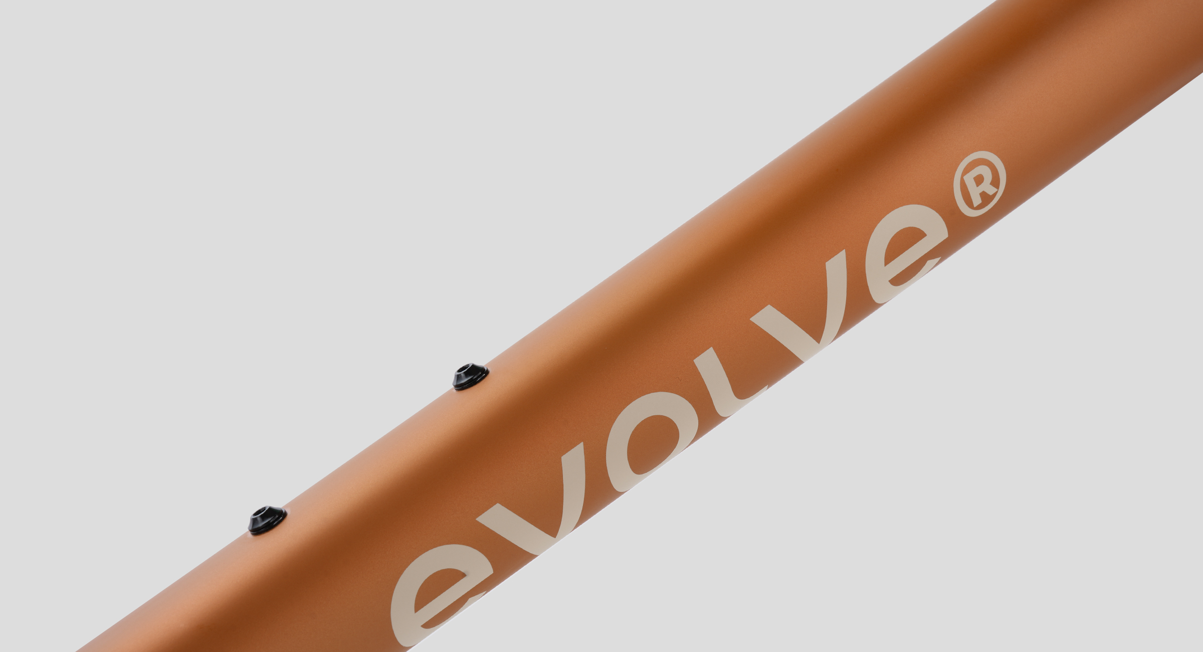evolve_CIMA-Wilderness Bold-10