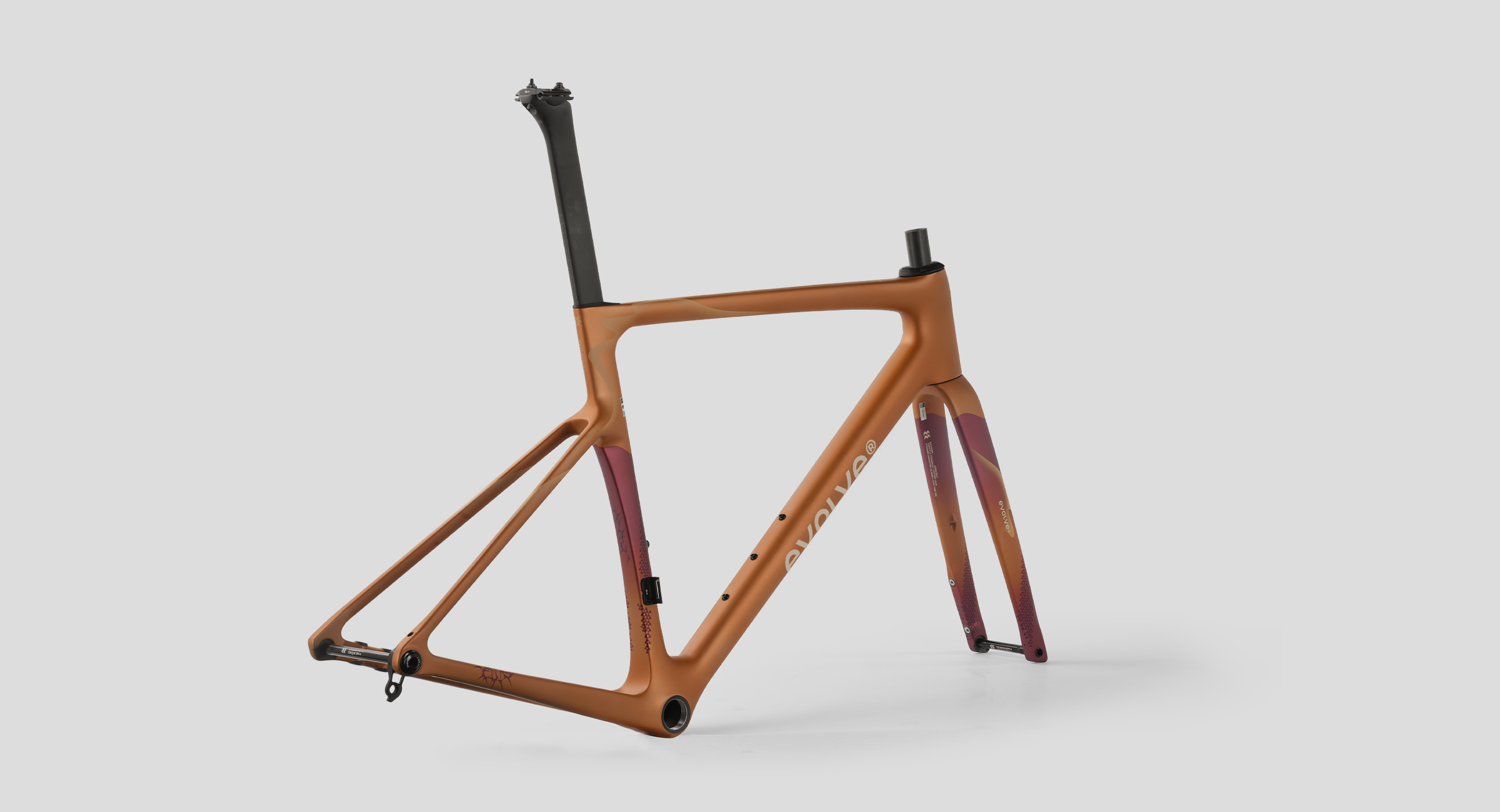 evolve_CIMA-Wilderness Bold-3