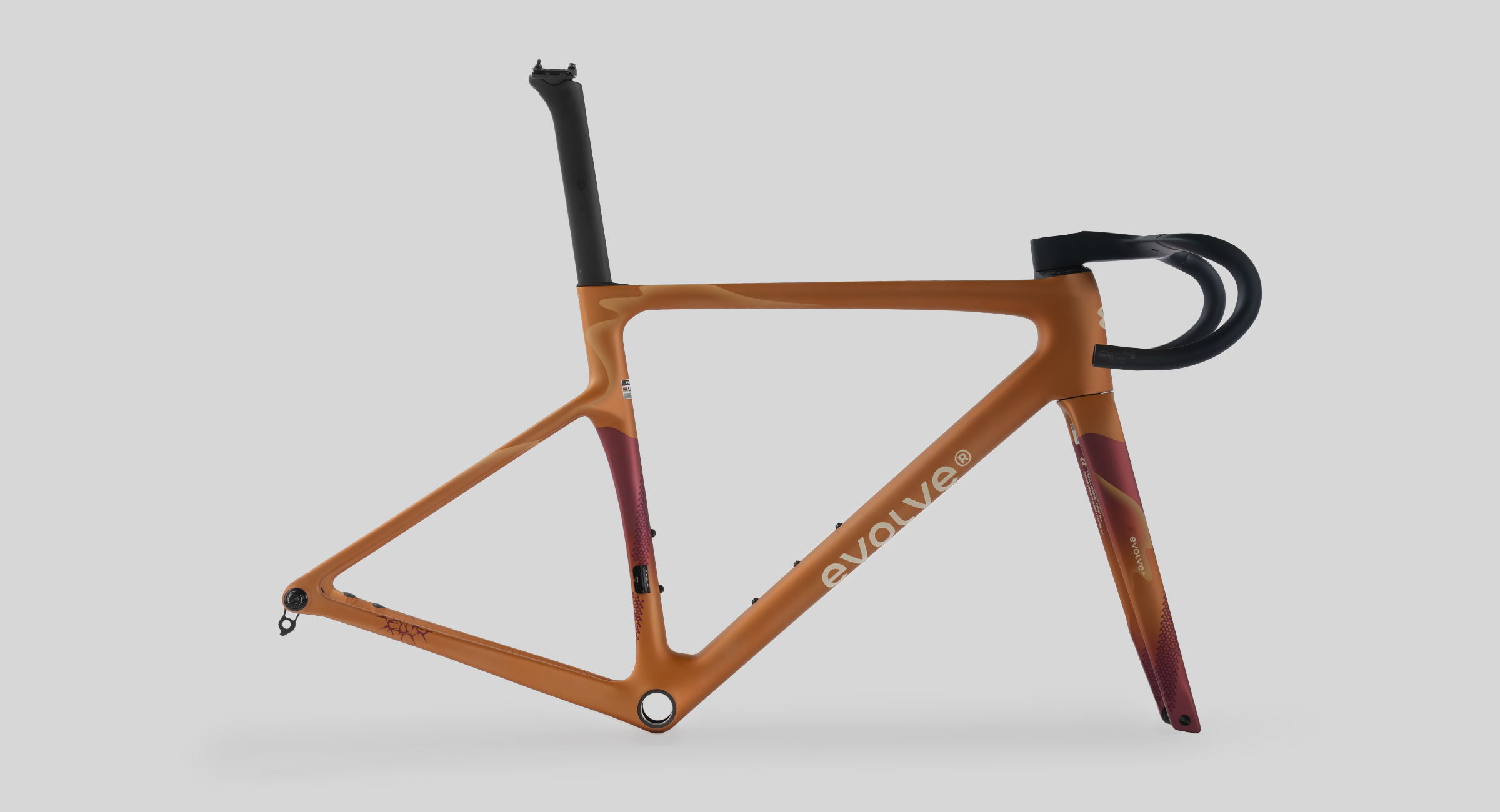 evolve_CIMA-Wilderness Bold-4