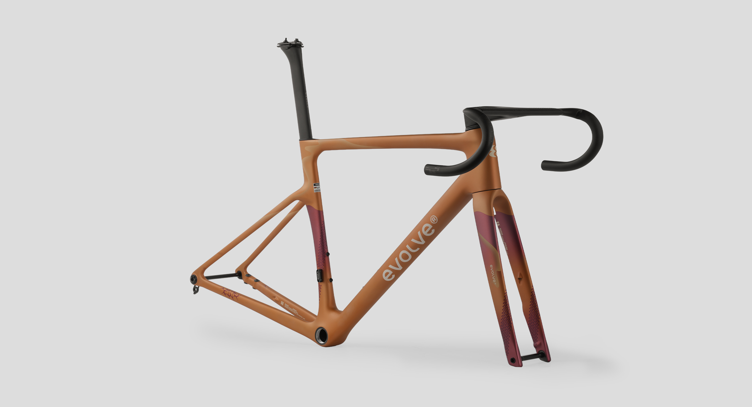 evolve_CIMA-Wilderness Bold-5