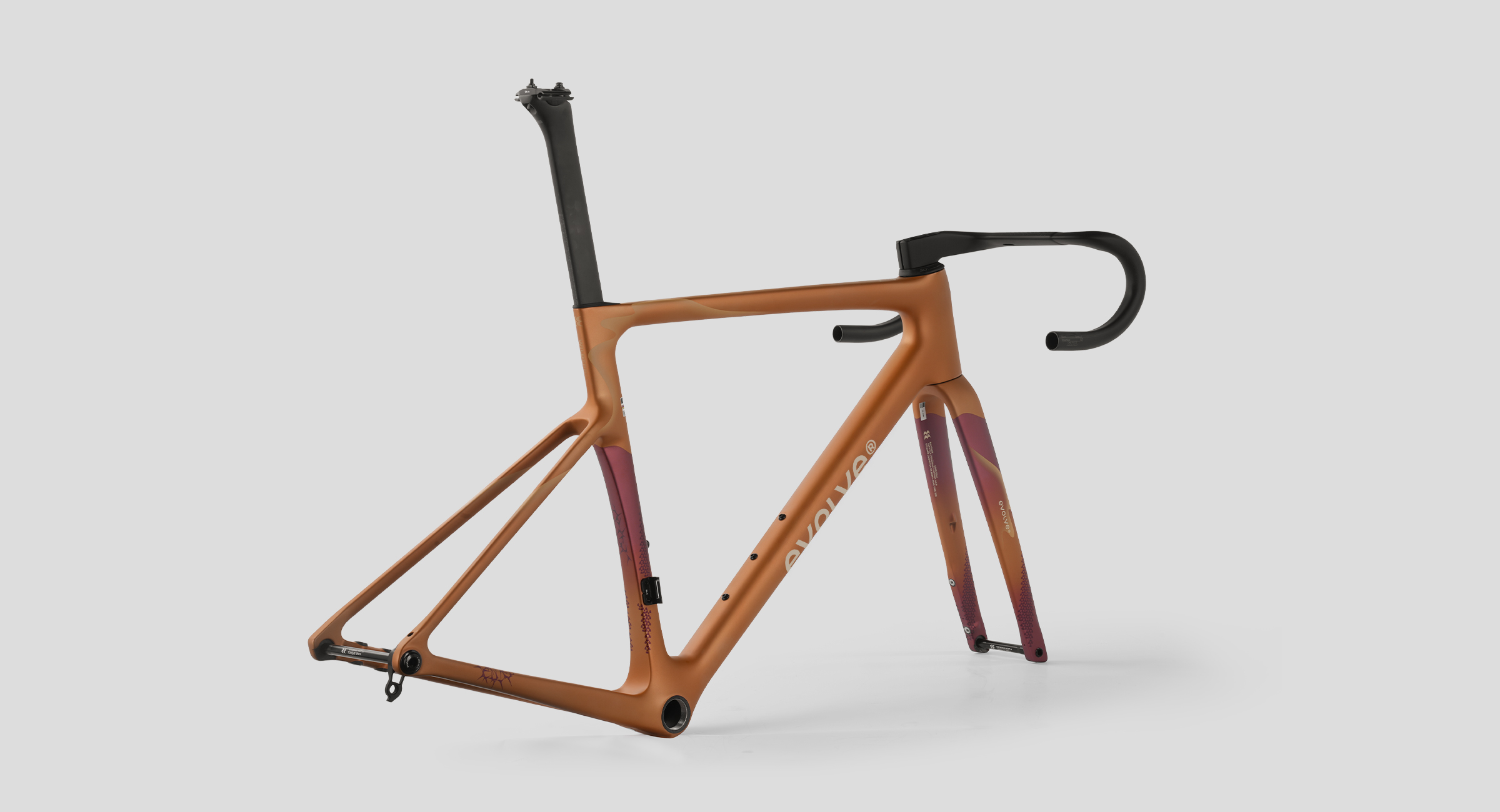 evolve_CIMA-Wilderness Bold-6