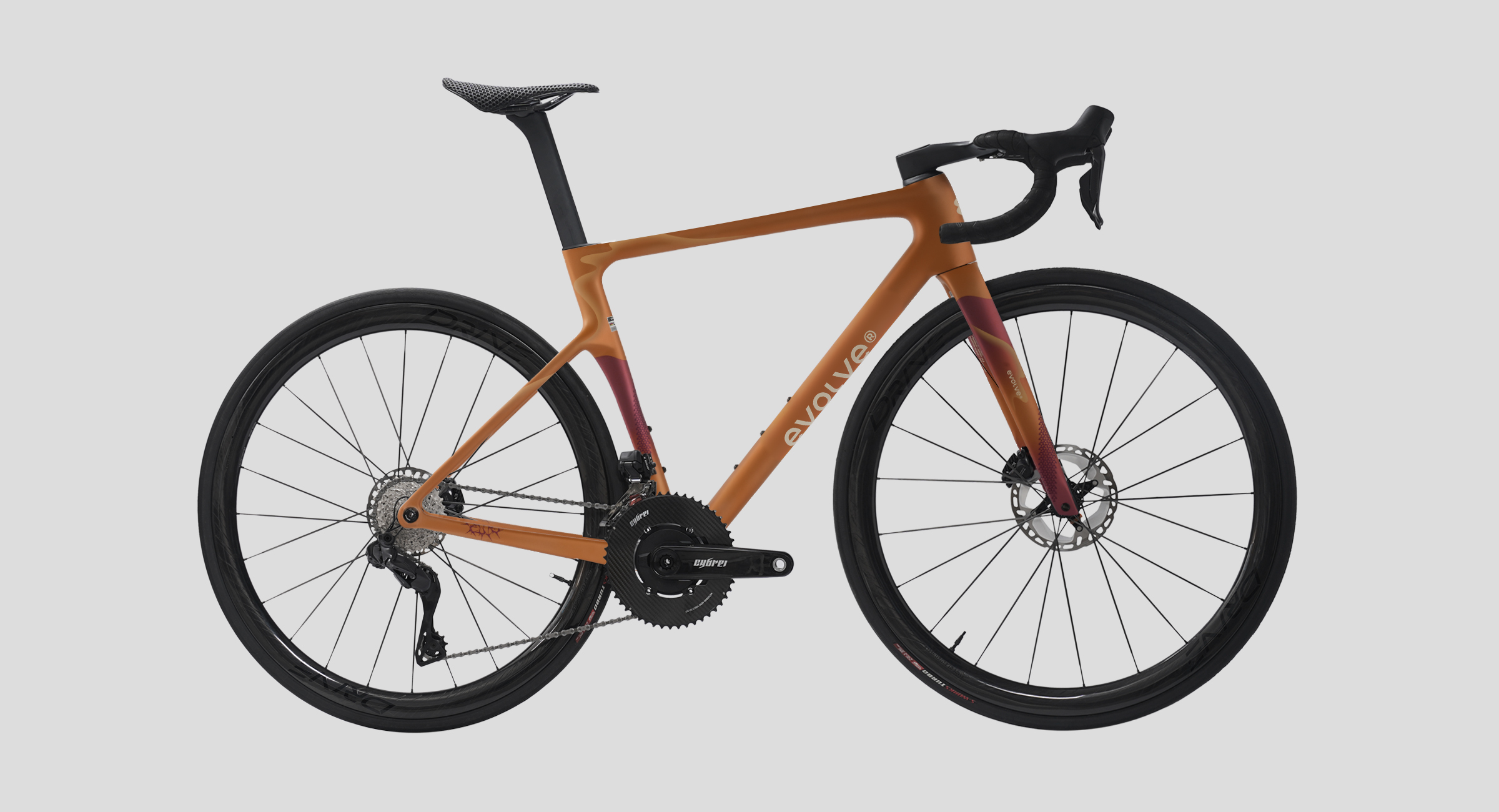 evolve_CIMA-Wilderness Bold-7