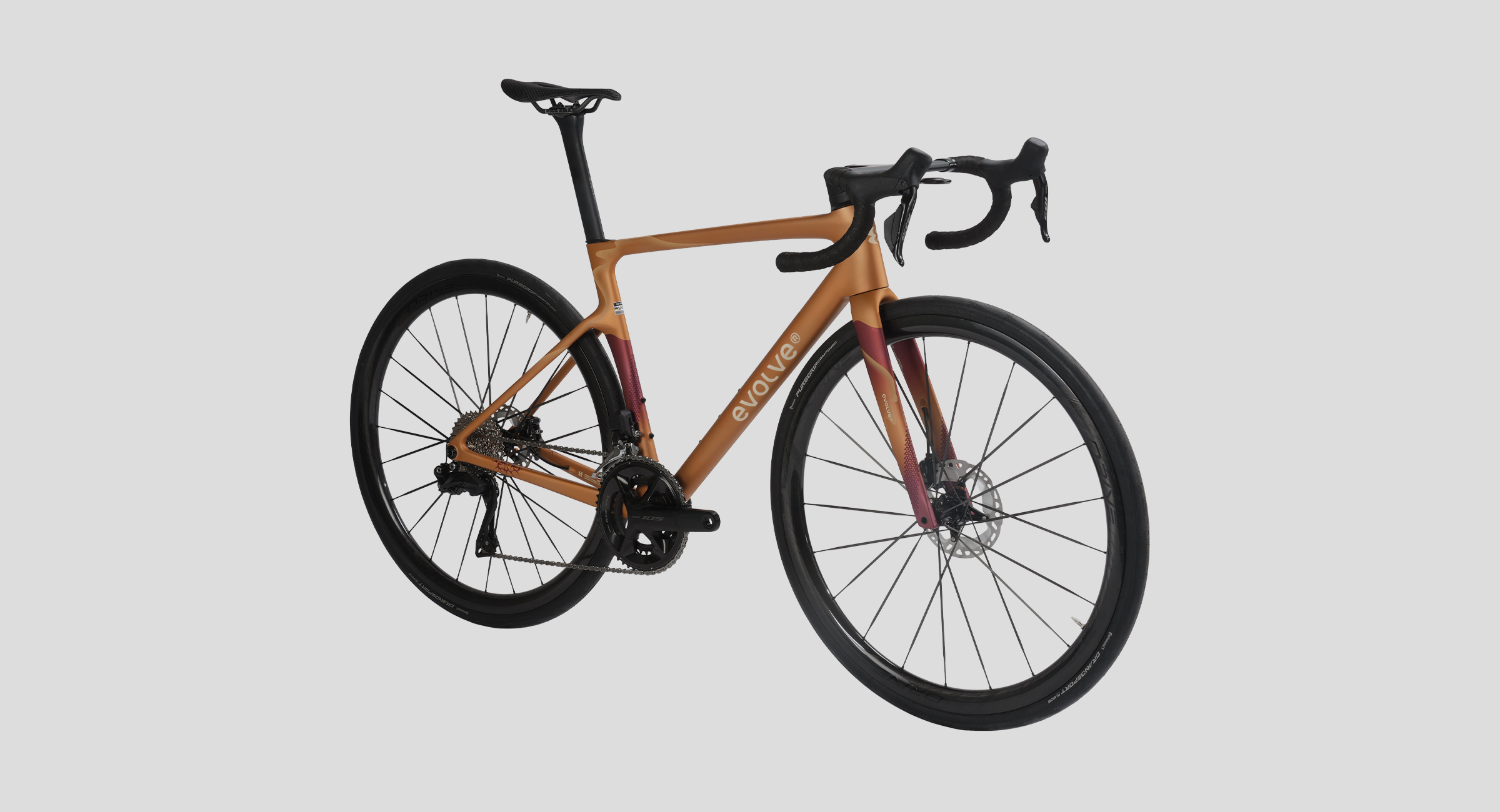 evolve_CIMA-Wilderness Bold-8