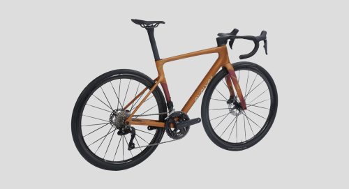 evolve_CIMA-Wilderness Bold-9 evolve_CIMA-Wilderness Bold-9