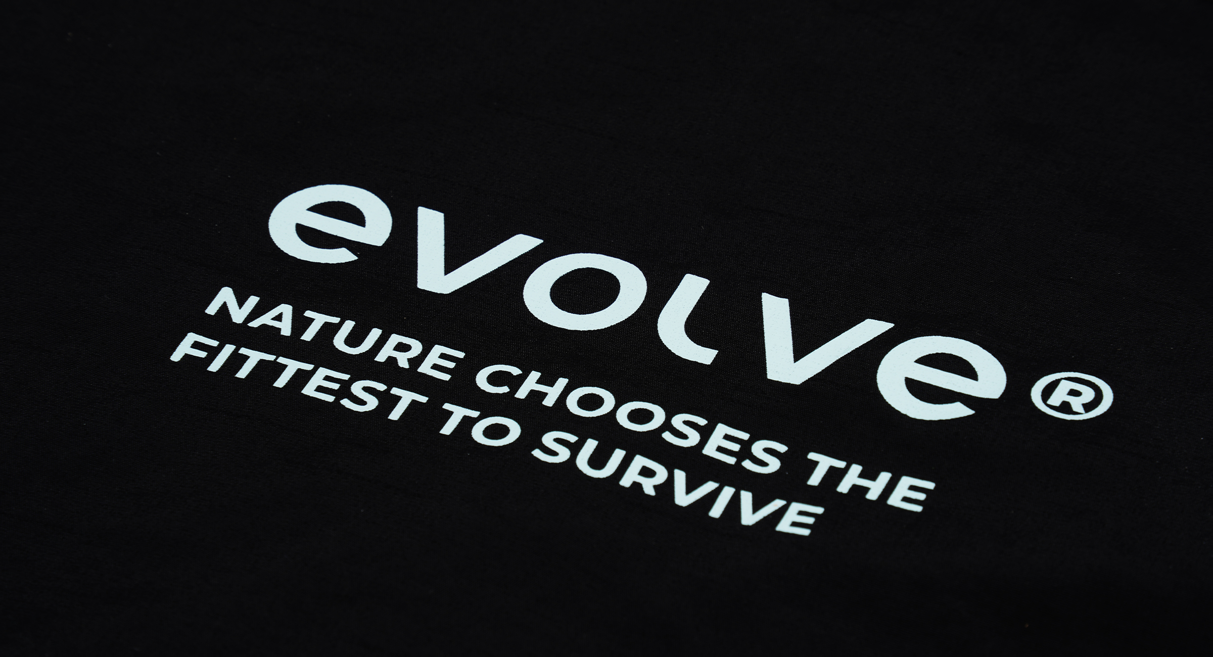 evolve X Musette 5
