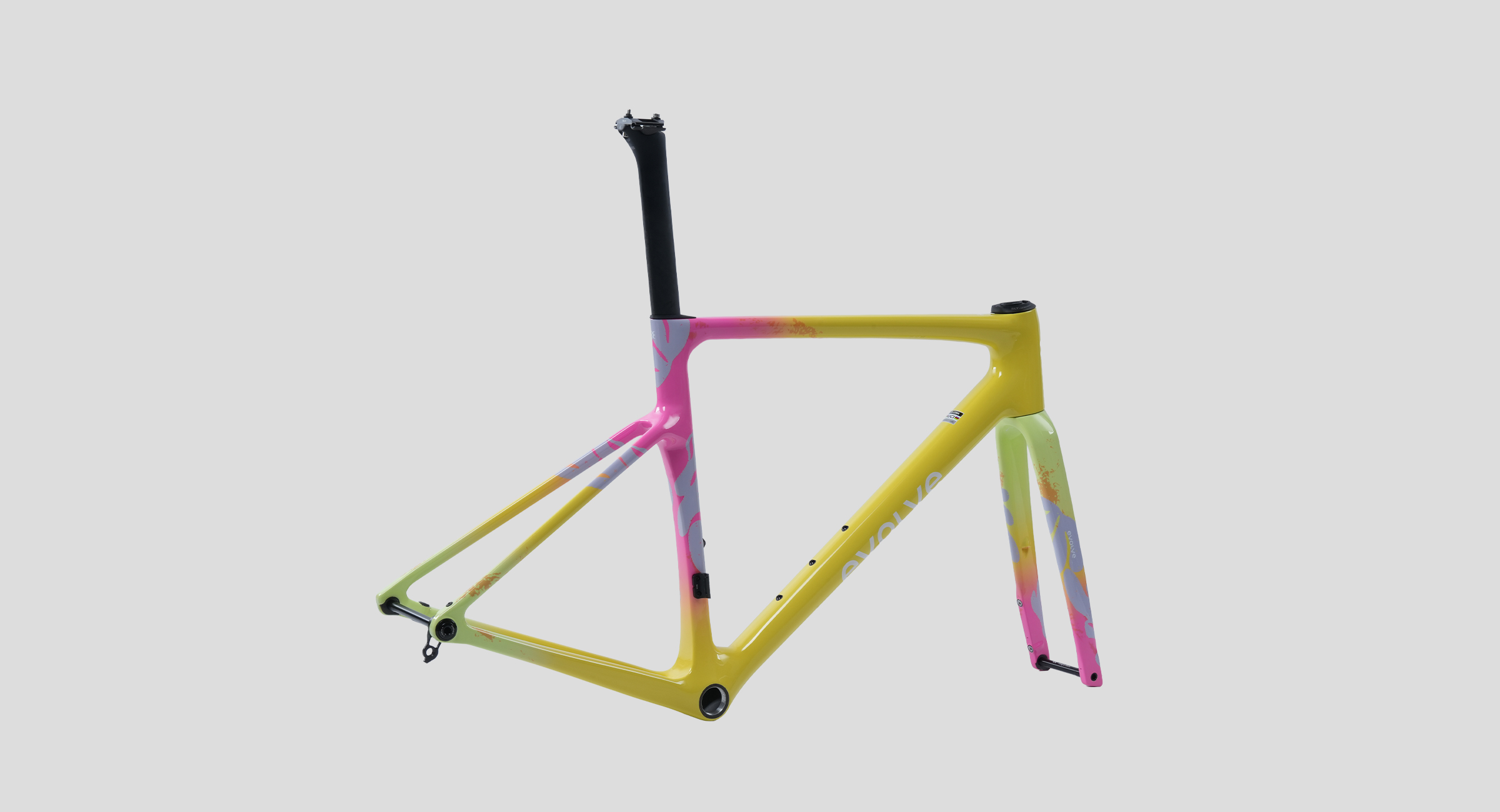 evolve_CIMA Artist – Tropical Yellow-3 evolve_CIMA Artist – Tropical Yellow-3