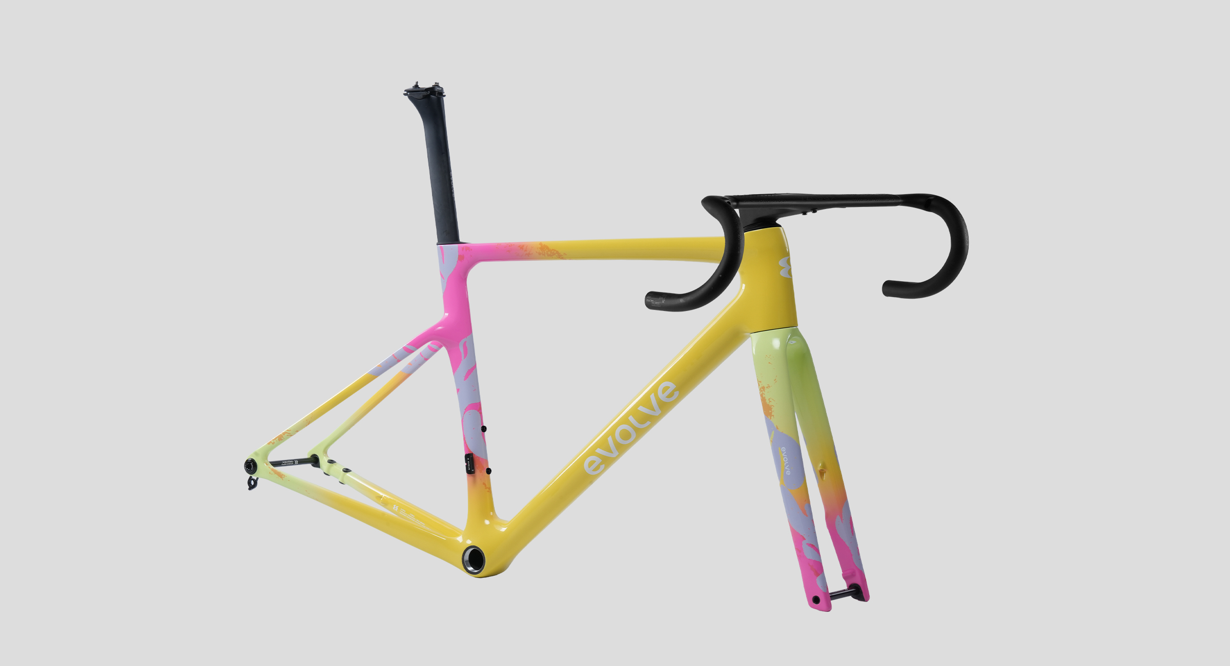 evolve_CIMA Artist – Tropical Yellow-5 evolve_CIMA Artist – Tropical Yellow-5