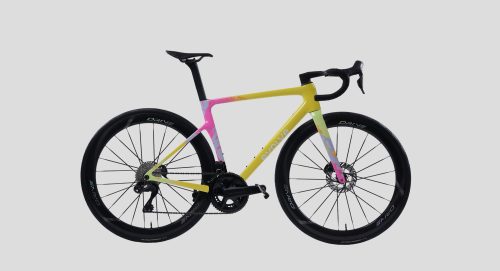evolve_CIMA Artist – Tropical Yellow-7 evolve_CIMA Artist – Tropical Yellow-7