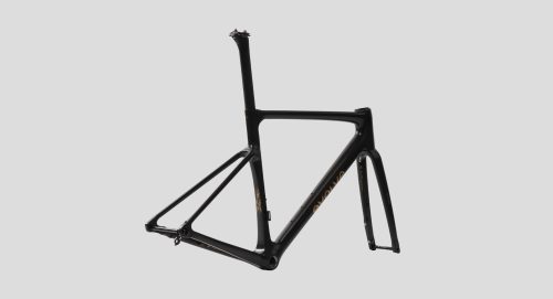 evolve_CIMA Speed – Matte Carbon Gold-3 evolve_CIMA Speed – Matte Carbon Gold-3